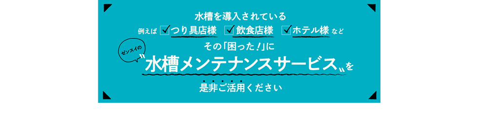 水槽メンテナンスサービス