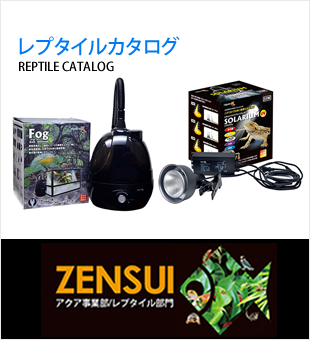 レプタイルカタログ