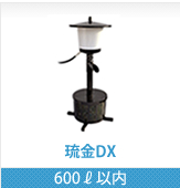 琉金DX