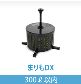 まりも1型