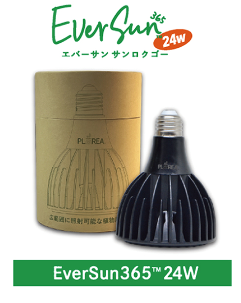 Eversun365