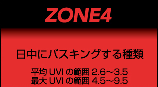 ZONE4 Fergusonzone ファーガソンゾーン