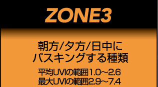 ZONE3 Fergusonzone ファーガソンゾーン