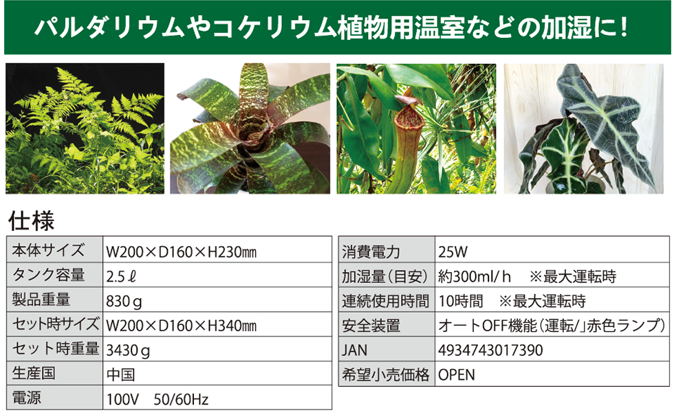 Fog / フォグ パルダリウムやコケリウム植物用温室などの加湿に！