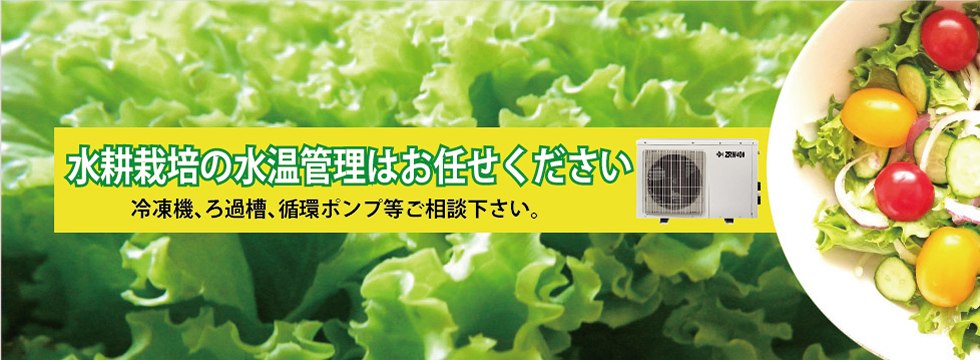 水耕栽培