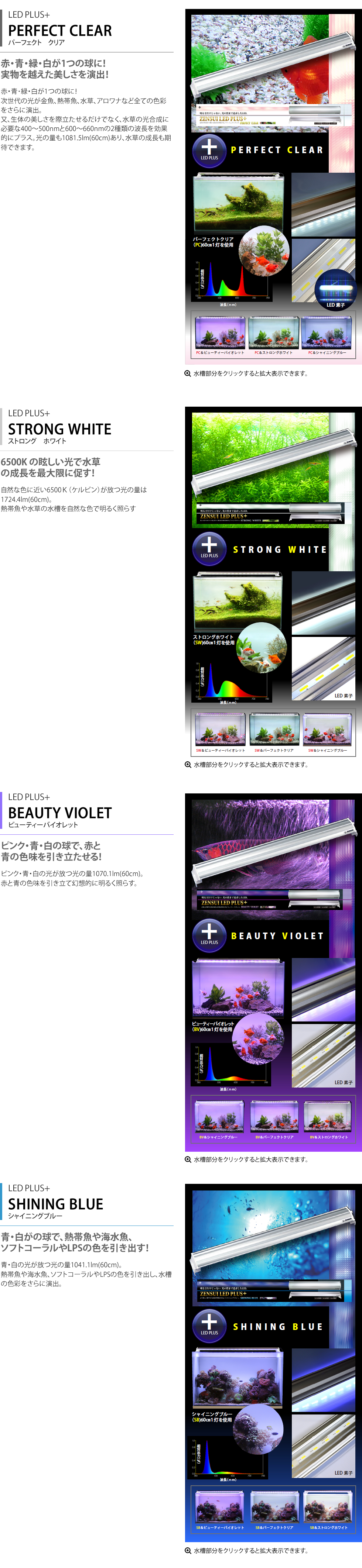 LED PLUS+