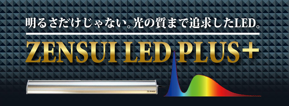 ZENSUI LRD PLUS+