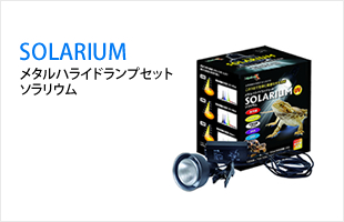 SOLARIUM メタルハライドランプセット　ソラリウム 35w / 50w / 70w