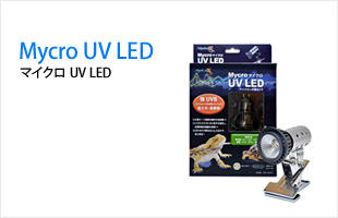 Mycro UV LED / マイクロ UV LED