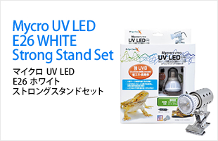 Mycron UV LED WHITE / マイクロ UV LED ホワイト