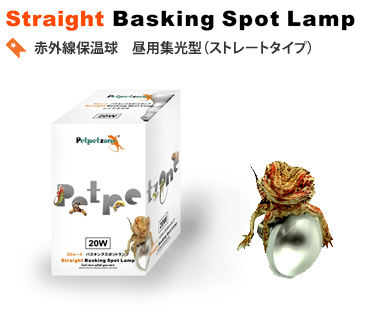 ストレートバスキングスポットランプ