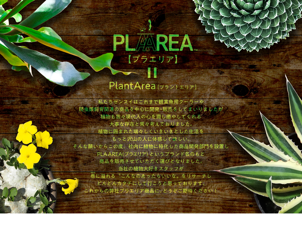 PLAAREA