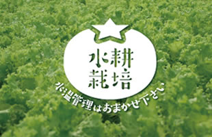 水耕栽培