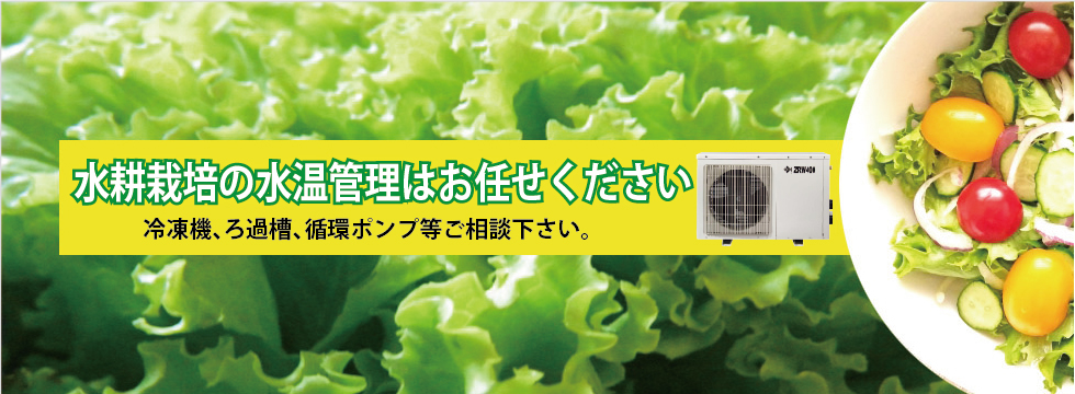 水耕栽培