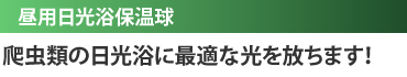 昼用日光浴保温球