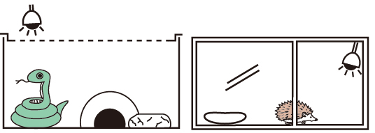 ストロング ムーンライトランプの設置例