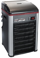 TK2000